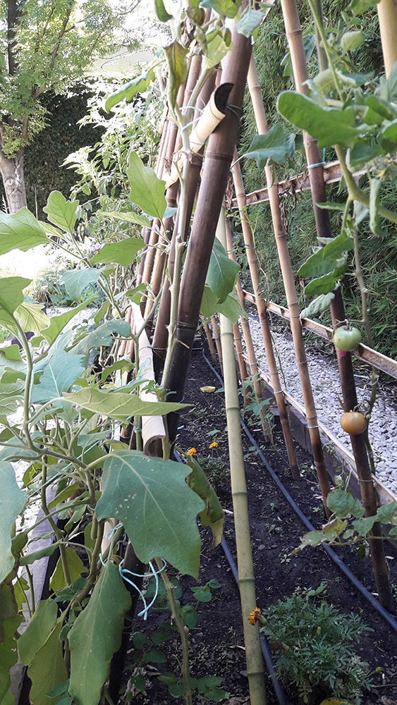 Jardín Urbano - Imágen de gelería