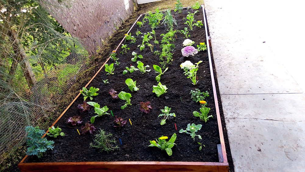 Jardín Urbano - Imágen de gelería