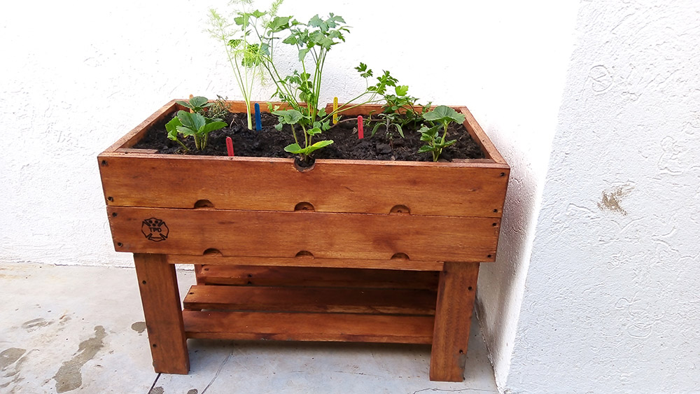Jardín Urbano - Imágen de gelería