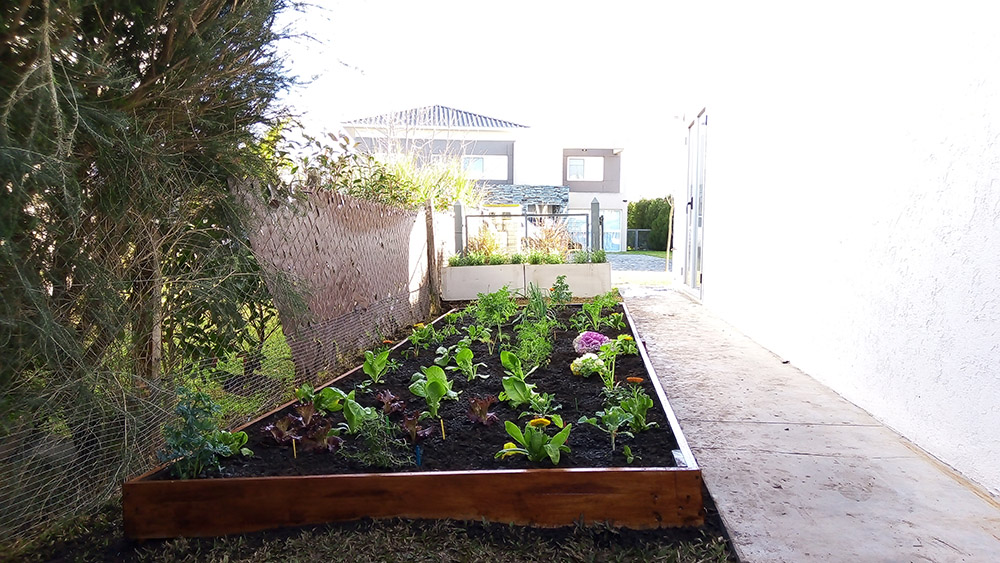 Jardín Urbano - Imágen de gelería