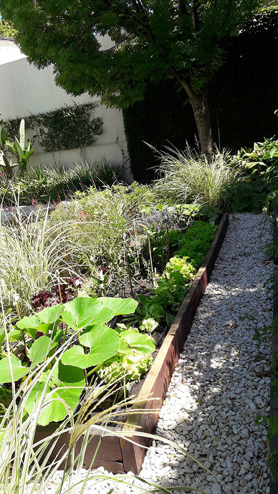 Jardín Urbano - Imágen de gelería