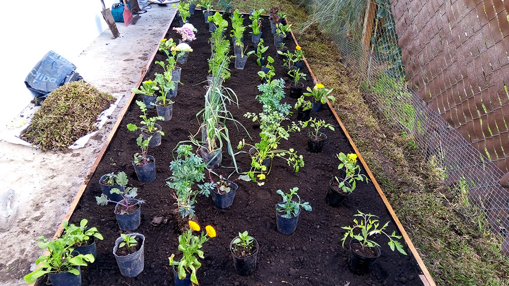 Jardín Urbano - Imágen de gelería