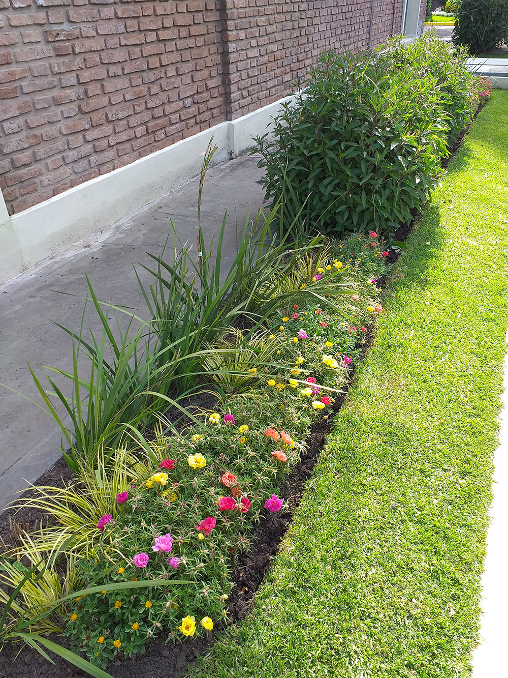 Jardín Urbano - Imágen de gelería