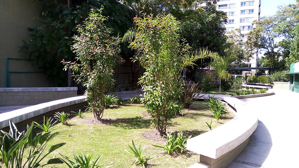 Jardín Urbano - Imágen de gelería