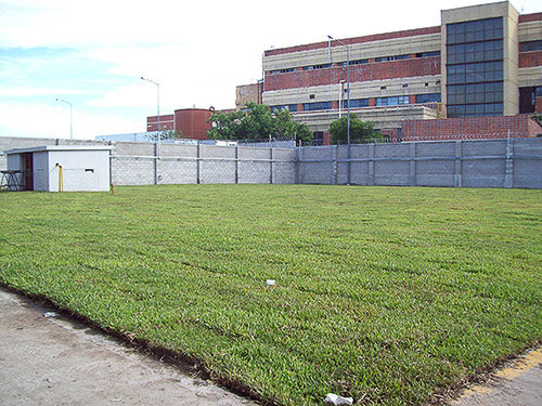 Jardín Urbano - Imágen de gelería