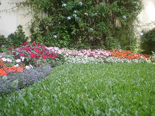 Jardín Urbano - Imágen de gelería