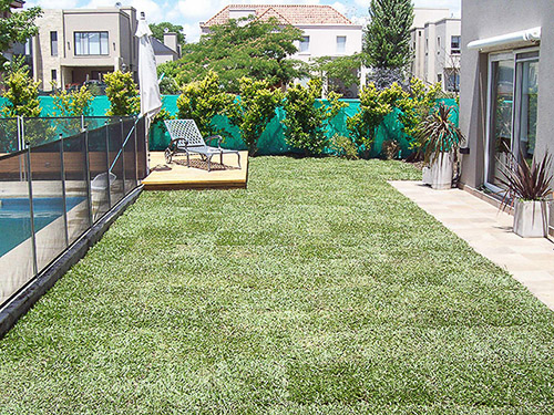 Jardín Urbano - Imágen de gelería