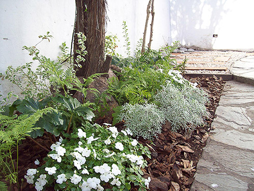 Jardín Urbano - Imágen de gelería