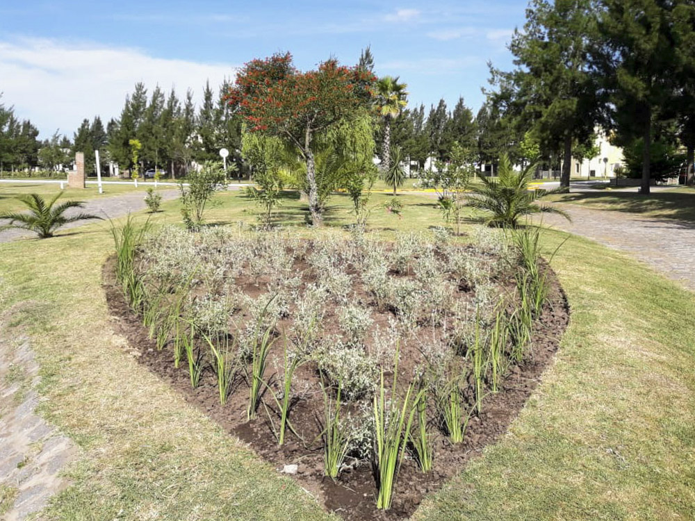 Jardín Urbano - Imágen de gelería