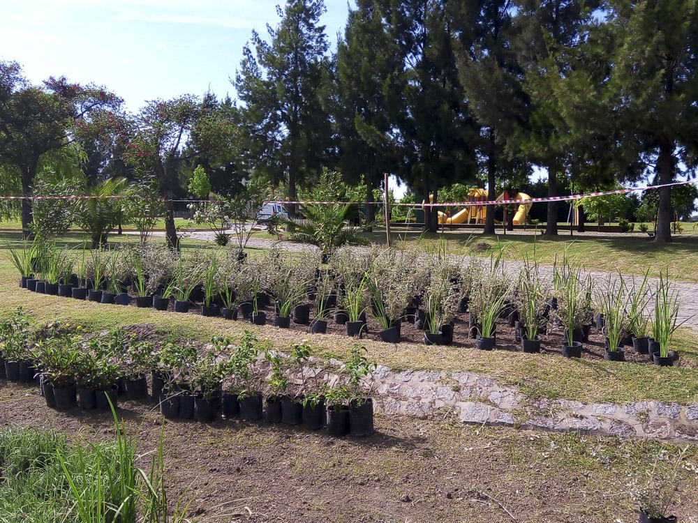 Jardín Urbano - Imágen de gelería